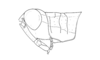 Dichroplus alejomesai Liebermann, 1967: Fig. 6. male, head and pronotum, lateral view. (Otu).