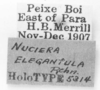CollectionObject 1524876; d4517783-35ba-460a-ba04-7d91ab1c1671: labels (holotype). (CollectionObject).