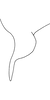 Anal tube processes: !! display not done !! on Empoasca (Empoasca) kraemeri Ross & Moore, 1957: Anal tube process. (Observation).