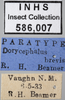 Other on Attenuipyga (Attenuipyga) brevis (Beamer, 1942): Labels - lateral. Labels for the specimen used for the lateral pictures. (Observation).