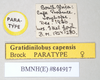 CollectionObject 1558850; NHMUK(SF IMPORT DUPLICATE) 844917, 1fd3d70c-d042-40df-80b4-daa8222457e3: copyright Natural History Museum, London. female, data labels (paratype). (CollectionObject).