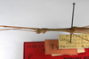 CollectionObject 1560368; 12c3ed14-61fd-46e7-9370-24612de5e038: copyright ZMHB, Berlin. male: head & thorax, lateral view (holotype). (CollectionObject).