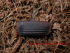 Therea petiveriana (Linnaeus, 1758): Copyright Victor Demeshko. Ootheca of Therea petiveriana. (Otu).