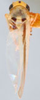 Habitus, dorsal view: Habitus (holotype of B. vittata Mahmood, USNM collection). (Observation).