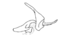 Pseudococama aureoguttata Descamps & Amédégnato, 1971: Fig. 54. ectophallus and endophallus, lateral view. (Otu).