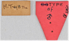 CollectionObject 1618751; 9653254d-1d29-4325-84c6-9a563f914363: (CollectionObject).