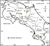 Erioloides latiscobinus Naskrecki & Cohn, 2000: map. (Otu).