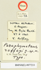 CollectionObject 1518444; c3451789-df95-4ac5-b864-46c937c6283d: female, labels (holotype). (CollectionObject).
