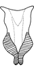 Connective on Changwhania terauchii (Matsumura, 1915): Connective. (Observation).