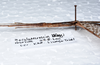 CollectionObject 1576186; 1e3de977-da3e-465a-8331-157557b09e8d: copyright SPM, Kinabalu. male: head & thorax, lateral view (holotype). (CollectionObject).