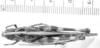 CollectionObject 1525990; 91672972-67d2-4508-a32d-27e92a617300: female, dorsal view (lectoallotype of Plectrotettix calidus). (CollectionObject).