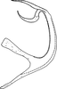 Aedeagus, lateral view on Edwardsiana alnicola (Edwards, 1924): Aedeagus, lateral view. (Observation).