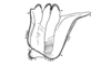 Tropidacris descampsi Carbonell, 1986: Fig. 25. pronotum, lateral view. (Otu).