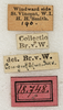 CollectionObject 1594981; 7589ef38-a7d8-4a5f-9b1f-0199fe5ea022: labels. (CollectionObject).