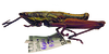Cawendia glabrata Karsch, 1888: male, lateral view (unspecified type). (Otu).