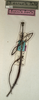 CollectionObject 1557450; NMW 790, f775b6e3-d2b7-4c2e-9ead-58b8000a01ce: copyright NMW, Vienna. female juv. of synonym Bostra arcuata (holotype). (CollectionObject).
