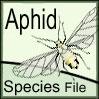 Aphid Species File