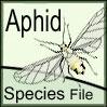 Aphid Species File
