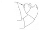 Megacephalacris pugnax pugnax (Gerstaecker, 1873): Fig. 65. male abdomen tip, lateral view. (Otu).