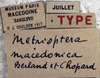 CollectionObject 1539770; 68016413-708a-4add-a030-55150933854f: labels (holotype). (CollectionObject).