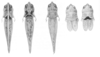 Ageneotettix brevipennis (Bruner, 1904): Fig. 67. females, pattern variation (Arizona). (Otu).