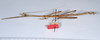 CollectionObject 1557024; 807ad312-522c-41ae-a2e9-14bcc76c50a7: copyright ANSP. male, ventral view (syntype). (CollectionObject).;CollectionObject 1557025; 9744693e-f103-4e3f-a20e-3ee15e4bff06: copyright ANSP. male of synonym Bostra jugalis, ventral view (syntype). (CollectionObject).