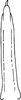 Aedeagus, ventral view: Aedeagus, ventral view. (Observation).