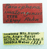CollectionObject 1523779; 525f7184-3d82-459b-9462-35320d323728: labels (holotype). (CollectionObject).