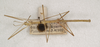 Clonaria nana (Mishchenko, 1941): St. Petersburg. male, dorsal view (holotype). (Otu).