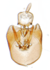 Pygofer, ventral view on Delphacodes nigrinota Beamer, 1951: (Observation).