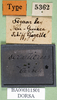 CollectionObject 1500924; fd615313-ac80-440d-8e0d-b263c78c20c8: labels (holotype). (CollectionObject).