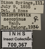 Other: !! display not done !! on Chlorotettix necopinus Van Duzee, 1893: Labels. (Observation).