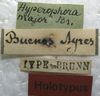 CollectionObject 1505842; feff1ab5-da89-46e1-9472-14a03754f988: labels (holotype). (CollectionObject).
