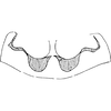Abdomen, tergite II apodemes: Abdomen, tergite II apodemes. (Observation).