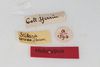 CollectionObject 1505885; e09d9024-f103-42e3-819c-517dfd55be31: female, labels (holotype). (CollectionObject).