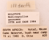 CollectionObject 1522860; f433d356-ecf2-47c0-bea5-0283d0563ff6: Male, labels (holotype). (CollectionObject).