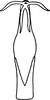 Aedeagus, ventral view on Edwardsiana delongi Christian, 1953: Aedeagus, ventral view. (Observation).