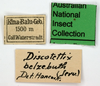 CollectionObject 1574066; 41104480-4aea-4fbe-a18d-c6d3a7772506: labels. (CollectionObject).