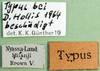 CollectionObject 1581406; c05e4948-ff3b-4201-8898-9f45e7c7ab67: labels (syntype). (CollectionObject).