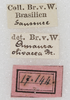 CollectionObject 1564320; NMW 17.144, ff4fa01b-b2ae-45ff-afc5-5d32e851a9b7: labels. (CollectionObject).