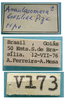 CollectionObject 1542718; 7e860499-ece2-410e-bb6e-db4430896ded: male labels (holotype). (CollectionObject).