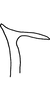 Stylus on Anufrievia forcipiformis Yang & Zhang, 2018: Stylus. (Observation).