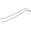 Pygofer appendages on Distantasca tiaca (Dworakowska, 1994): Pygofer process, lateral view. (Observation).