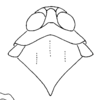 Habitus, dorsal view: (Observation).