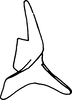 Stylus on Cumora cratus (Cheng, 1980): Stylus. (Observation).