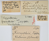 CollectionObject 1863695; d243e344-f52f-40eb-8fb9-fca0f4ebc703: (CollectionObject).
