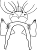 Anal tube processes on Anzygina dumbletoni (Ghauri, 1963): Anal tube process, ventral view. (Observation).
