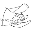 Pygofer, lateral view on Dikraneura (Dikraneura) serrata DeLong & Caldwell, 1937: Genital capsule, lateral view. (Observation).