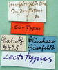 CollectionObject 1500737; 8258fc02-42e0-49b5-acbc-e07908f94aa6, MfN 4475: labels (syntype). (CollectionObject).