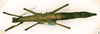 CollectionObject 1558664; 4e97edc4-7596-4b09-a052-c4e04f5db40f: copyright USNM, Washington. female (paratype). (CollectionObject).